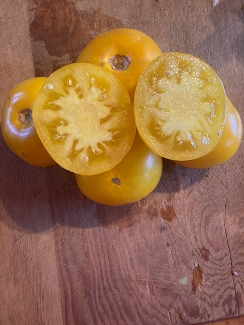 Azoychka Tomato | Saltwater Seeds